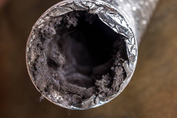 Best Emergency Air Duct Cleaning  in USA